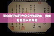 DC大学文凭背后的璀璨之光，一窥学术精英的隐性成就