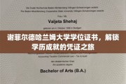 谢菲尔德哈兰姆荣耀证章，学位证书背后的成就启航