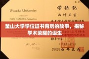 釜山大学学位证书，探寻荣耀背后的学术传奇