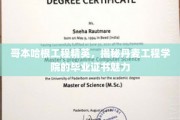 探索哥本哈根工程奇迹，揭秘丹麦工程学院证书的非凡魅力