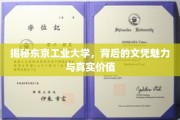 解码东工奇迹，文凭背后的实力与价值揭秘