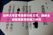 解码加州精英，圣克鲁斯分校文凭背后的全球教育风采