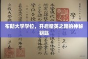 解锁精英之门，布朗大学学位，你的卓越通行证