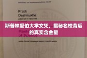 揭秘斯普林爱伯大学文凭，名校光环下的真实价值与潜力