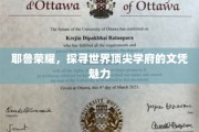 解码耶鲁光环，揭秘世界顶级学府的学位魔力
