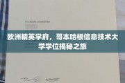 解码哥本哈根，揭开IT精英学府的学位奥秘之旅