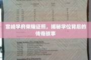 宫崎学府学位荣耀探秘，探寻传奇背后的学术传奇