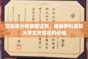 伊利诺斯大学文凭光芒闪耀，芝加哥分校毕业生如何诠释荣耀与价值