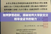 探索加州大学欧文分校毕业证书背后的璀璨光环