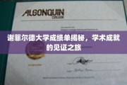 解码谢菲尔德荣耀，成绩单背后的学术传奇