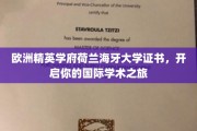 跨越荷兰海牙大学，开启全球学术探索之旅