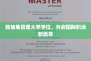 跨国职场新钥匙，新加坡管理大学学位引领未来职业发展