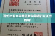 解锁学术殿堂，哥伦比亚大学特区学霸秘籍大公开！