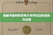 揭开丹麦利利贝特大学学位证的神秘面纱，真假与价值一探究竟