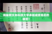 斯文奇迹，揭秘斯文本科技大学成功背后的独特奥秘