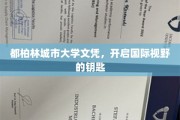 开启全球之门，都柏林城市大学文凭助你拓展国际视野