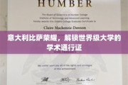 比萨之光，解锁世界顶级学府的学术之钥