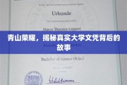 文凭背后的荣耀，探寻高校学子奋斗的神秘轨迹