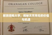 探索坦帕大学，文凭的非凡价值与无限机遇