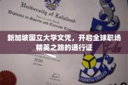 新加坡国立大学文凭，通往国际精英职场的金钥匙