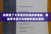里丁大学成绩单揭秘，解码学术成就的数字密码