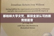 都柏林大学文凭，开启国际通行证的教育之旅