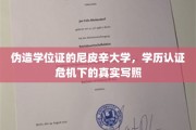 尼皮辛大学伪造风波，学历认证乱象下的校园隐痛