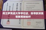 揭秘荷兰萨克逊大学，欧洲教育界的璀璨明珠
