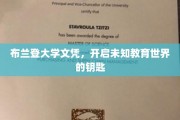 探索布兰登，解锁未来教育新纪元的文凭通行证