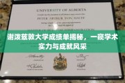 谢泼兹敦大学成绩单背后，揭秘卓越学术实力与耀眼成就之光