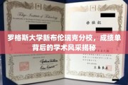 探索罗格斯大学新布伦瑞克分校，成绩单映照下的卓越学术魅力