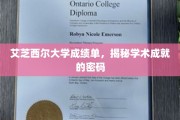 解码艾芝西尔，探索学术成就的非凡成绩单