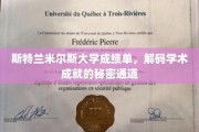 解锁学术巅峰，斯特兰米尔斯大学成绩单背后的秘密线索