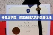 解码林奇堡，揭秘文凭新纪元的神秘学院