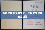 掌握未来职场之门的新布伦瑞克大学荣耀文凭