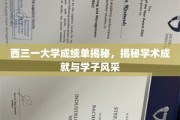 西三一大学学子风采大揭秘，成绩单背后的学术荣耀与青春足迹