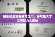 荷兰留学新宠，蒂尔堡大学学位，揭秘其非凡魅力与全球认可度