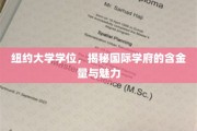 纽约大学学位背后的全球视野与价值探秘