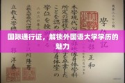 跨国通行证，外国语大学学历的全球吸引力解析