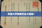布朗大学神秘荣耀证书背后的惊人真相