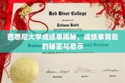 探寻西悉尼大学成绩单深层次价值，揭示不为人知的启示与秘密