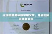 法国威勒商学院荣耀文凭，开启国际职场新篇章