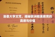 解码洛桑大学，探寻欧洲精英教育的精髓与非凡价值
