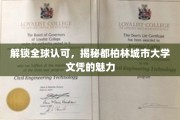 全球通行证，探秘都柏林城市大学学位的非凡价值