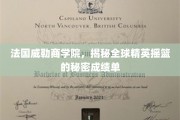 探寻法国威勒商学院，塑造全球商业领袖的神秘教育之旅