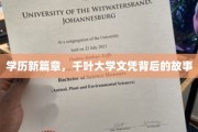 千叶大学文凭探秘，一场学历背后的华丽蜕变之旅