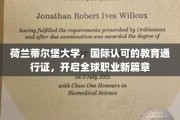 跨越国界的教育殿堂，蒂尔堡大学，成就国际职场新起航