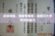 探寻夸祖鲁-纳塔尔大学学历的非洲璀璨之光