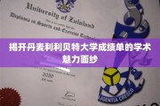探寻丹麦利利贝特大学成绩单背后的学术风采