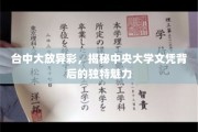 台中大放异彩，中央大学文凭的独特风采揭秘之旅